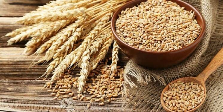 قیمت گندم چقدر است؟