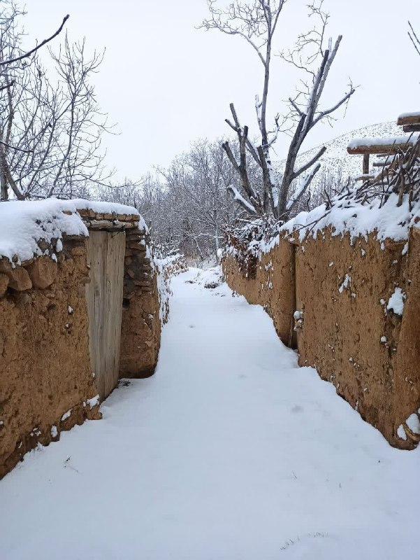 زمستان در کوچه باغ روستای طار