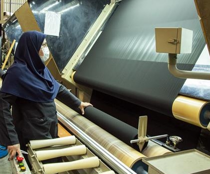 نرخ مشارکت اقتصادی زنان در اصفهان ۱۵ درصد است